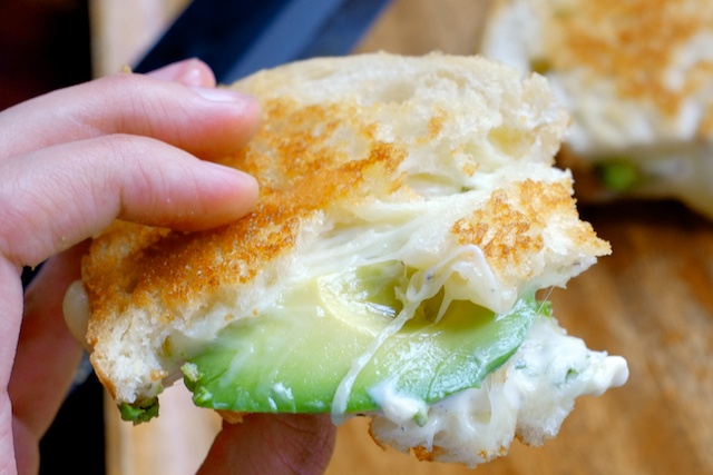 avocado pepperjack grilled cheese with garlic cilantro mayo
